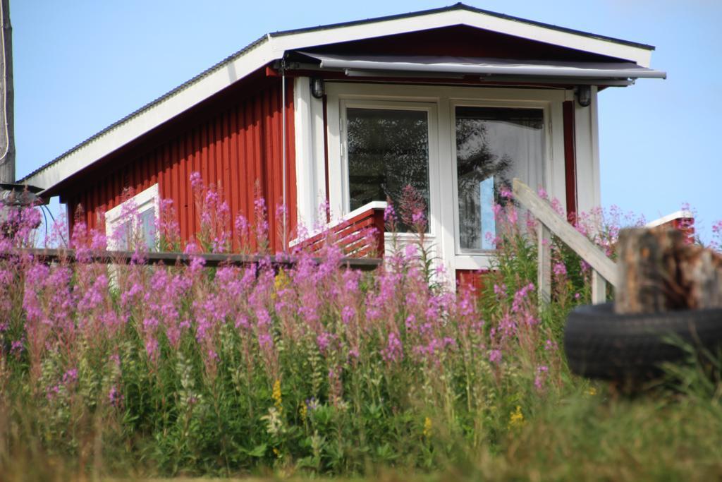 Bjoerkebo Camping Stöllet Exterior foto